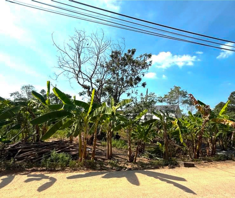 EP0012 | Land for Sale in Nong Yai, Pattaya – Orange Zone