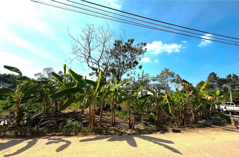 EP0012 | Land for Sale in Nong Yai, Pattaya – Orange Zone