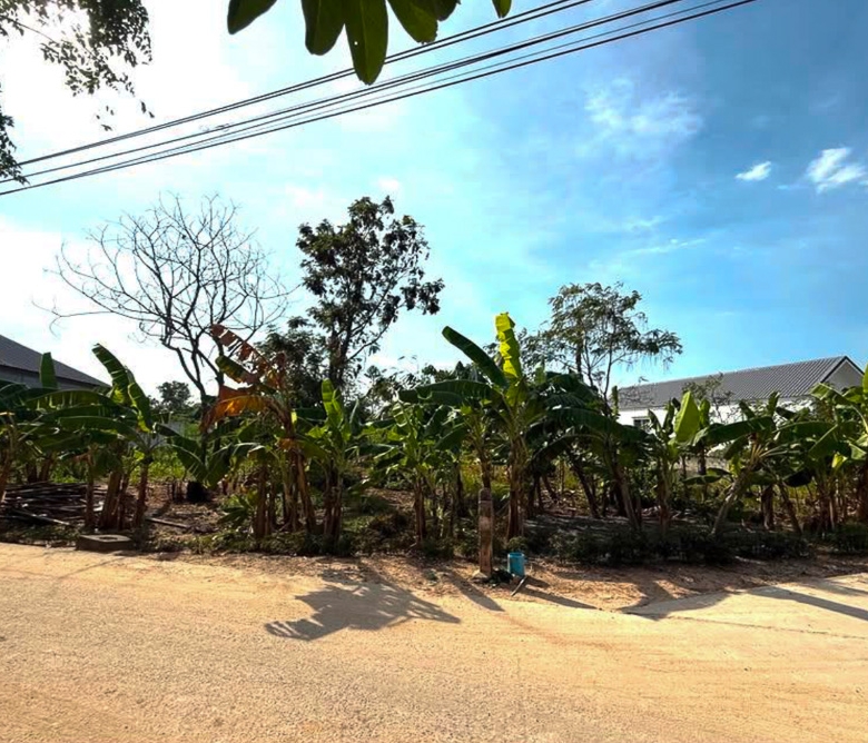 EP0012 | Land for Sale in Nong Yai, Pattaya – Orange Zone