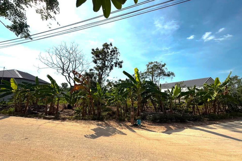 EP0012 | Land for Sale in Nong Yai, Pattaya – Orange Zone