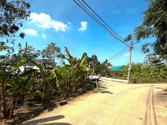 EP0012 | Land for Sale in Nong Yai, Pattaya – Orange Zone
