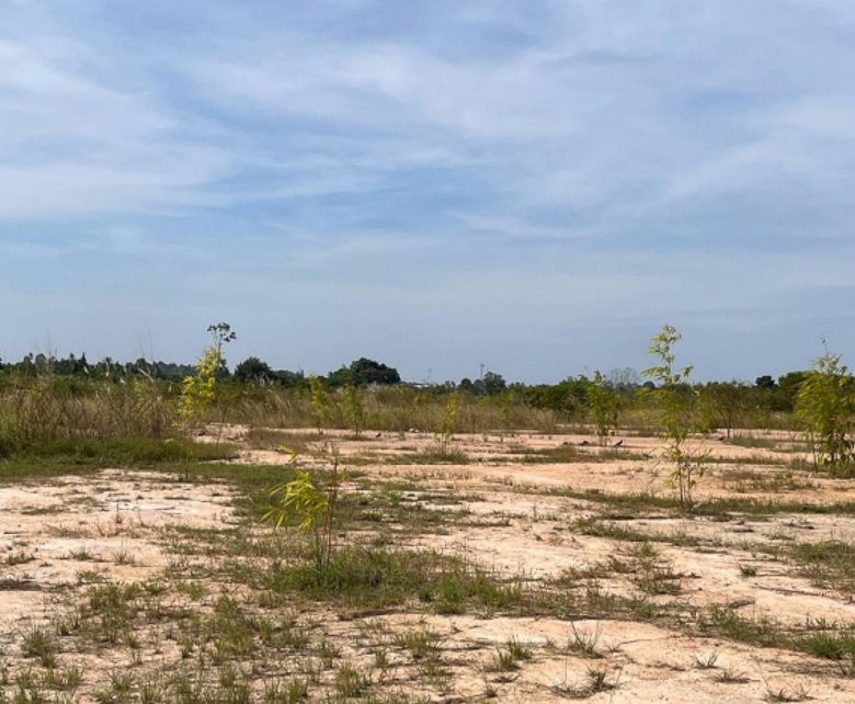 EP0301 | Land for Sale in Takhian Tia, East Pattaya