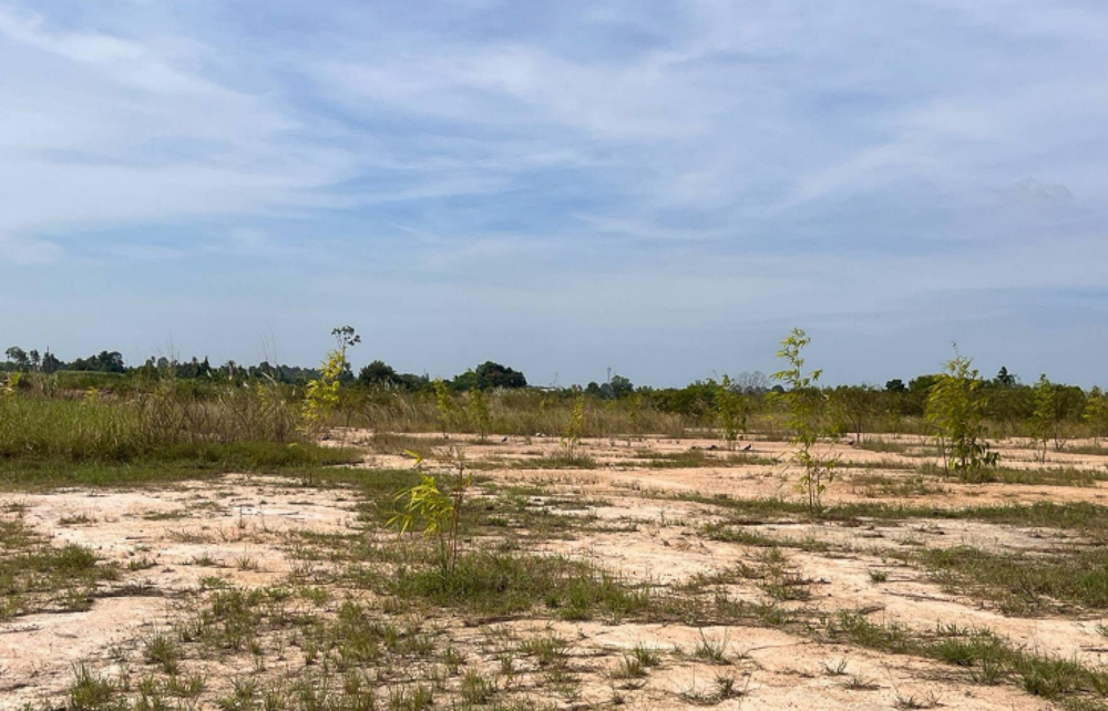 Land for Sale in Takhian Tia-5 EP0301 | Land for Sale in Takhian Tia, East Pattaya