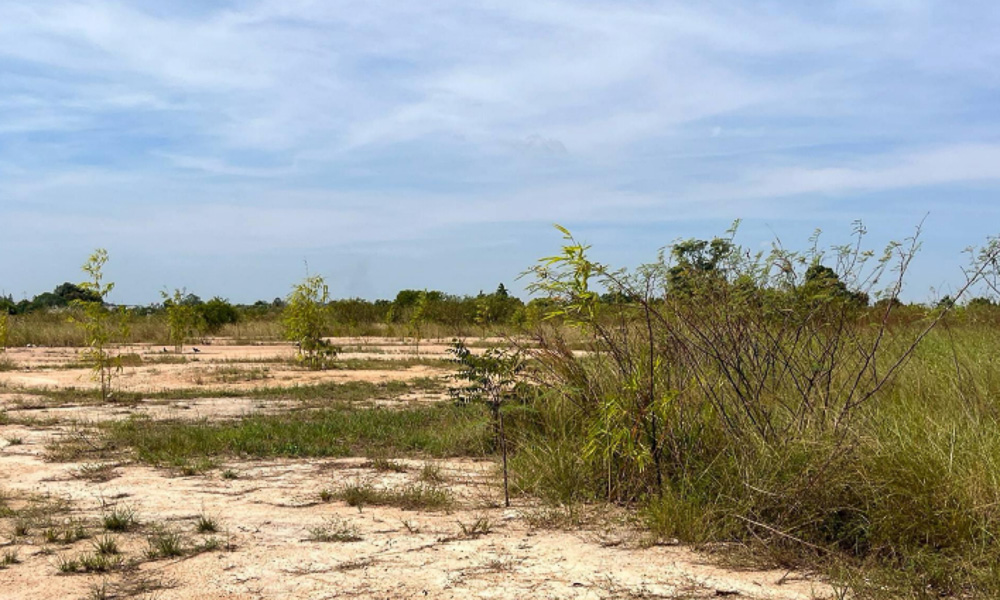Land for Sale in Takhian Tia-6 EP0301 | Land for Sale in Takhian Tia, East Pattaya