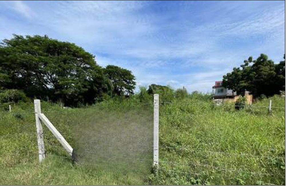 Land Plot for Sale in Jomtien-5 EP0141 | 1-Rai Land Plot for Sale in Jomtien, Pattaya